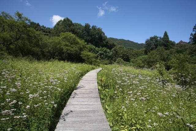 Botanical garden