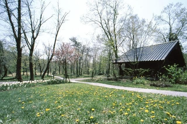 Botanical garden