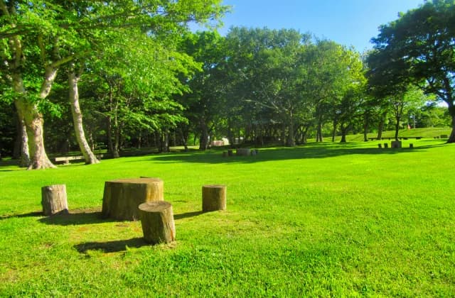 Hyakuninhama Auto Campsite