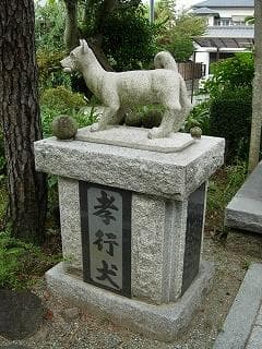 The grave of a filial dog