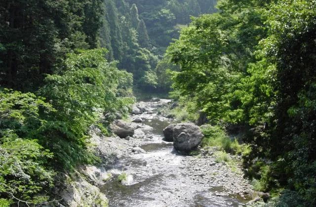 Nyukawa