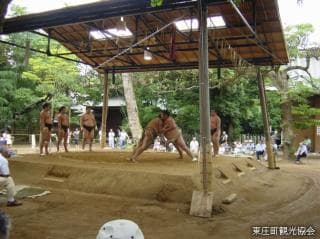 Sasagawa Summer Camp