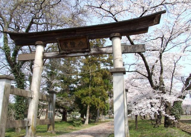 八幡神社 春