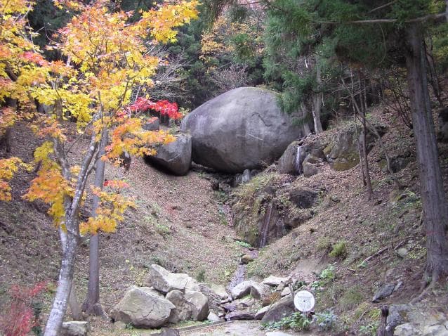 Ancient turtle stone