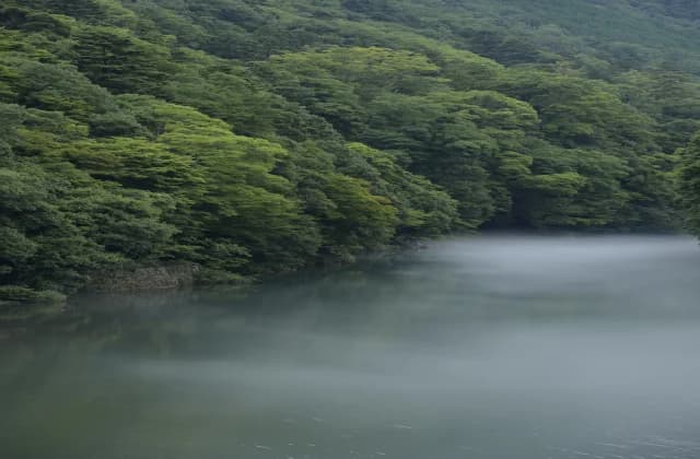 愛知川渓谷
