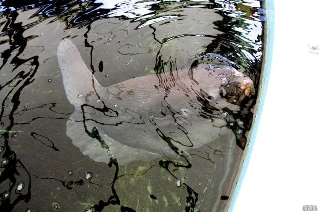 Mikame Sea Station Shio-Ayakan