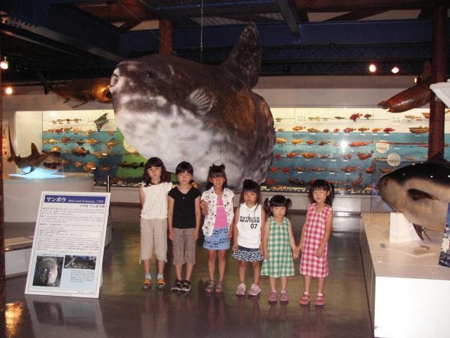 海とくらしの史料館