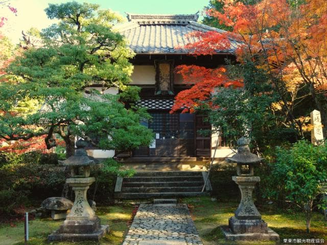 Tohosan Anyo-ji Temple Autumn Leaves