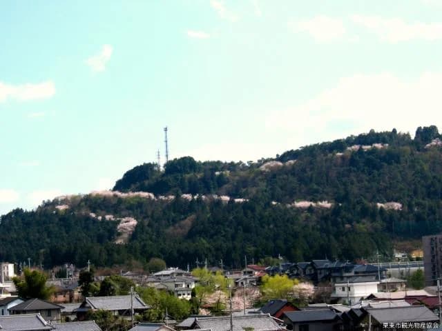 Anyoji Terayama Road
