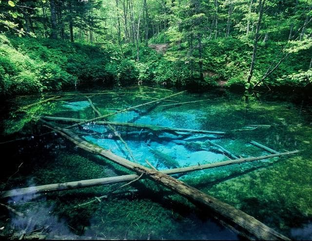 God's pond