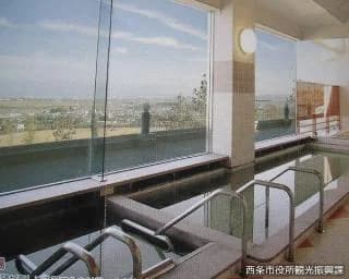Tsubaki Onsen