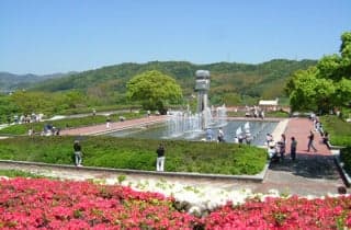 永源山公園/つつじ