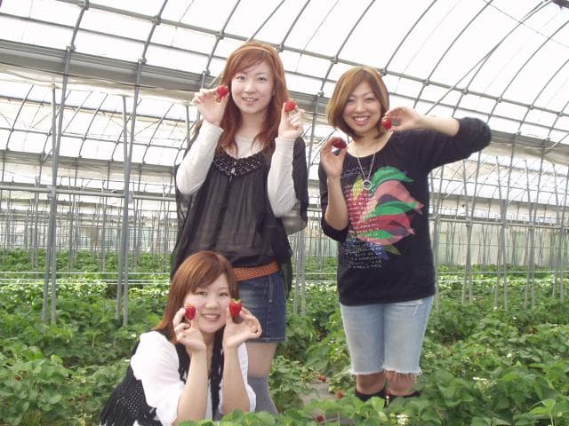 Megumi Land