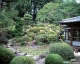 龍島院池泉鑑賞式庭園