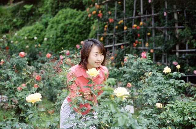 Rose in Somatsu Park