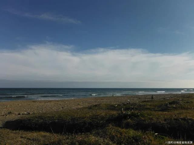 伊倉浜