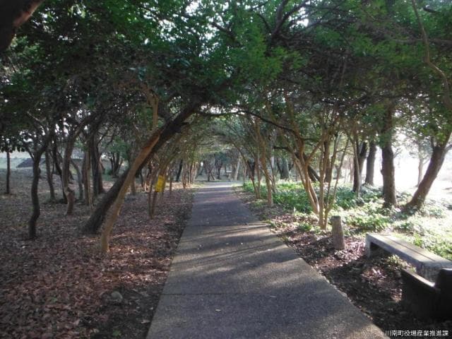 約2kmの遊歩道