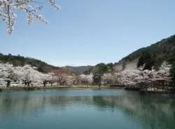 真人公園