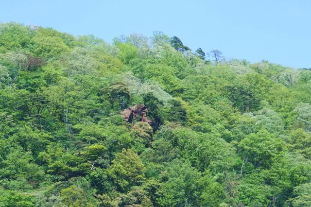 Onihiiwa