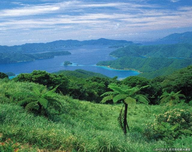 View the Oshima Strait from Mt.