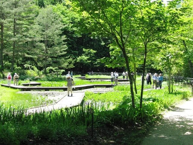 Kamimiyori Aquatic Botanical Garden