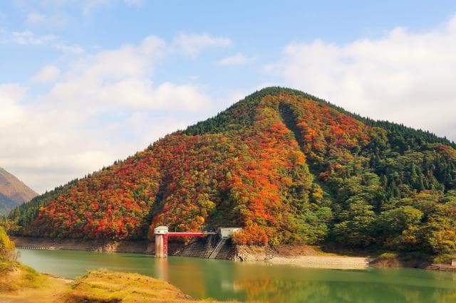 Lake Goshiki Autumn Leaves