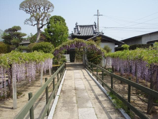 Fuji of Tokuzo-ji Temple