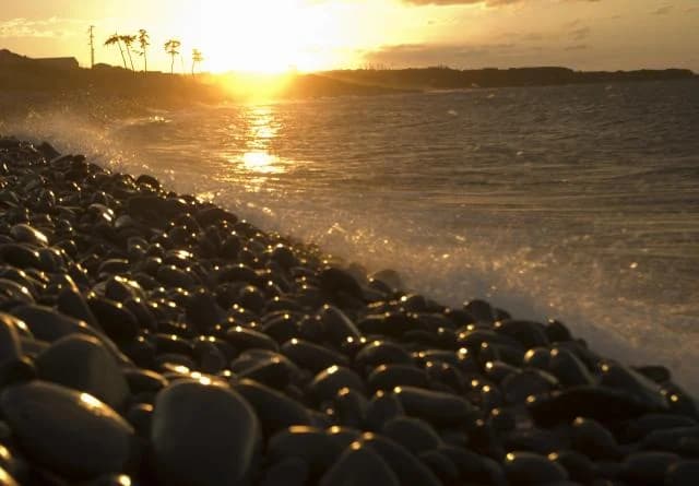 The beach