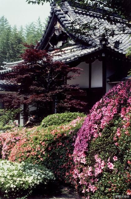 さつき寺(雲迎寺)
