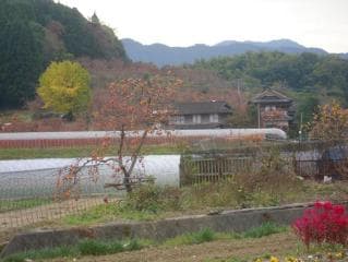 Autumn in Satoyama