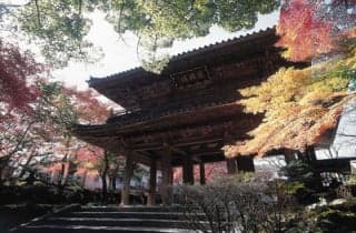 Koyamadera Autumn Leaves 1