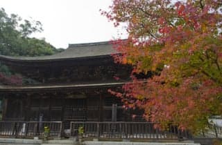 Koyamadera Autumn Leaves 3