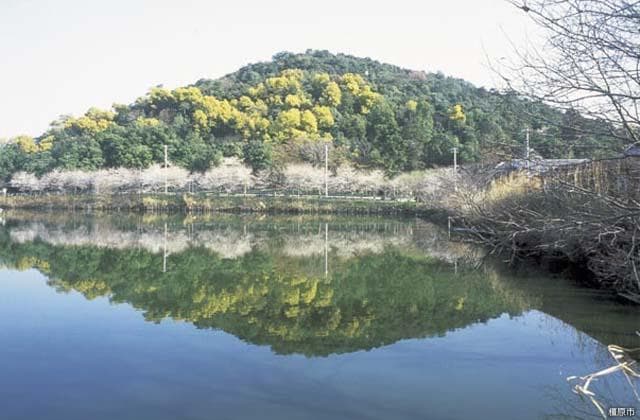 Mount Miminashi