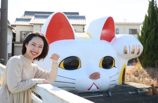 Watching cat and konyan