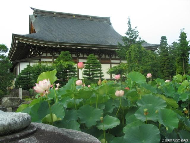 華芳園から龍興寺本堂北側を望む