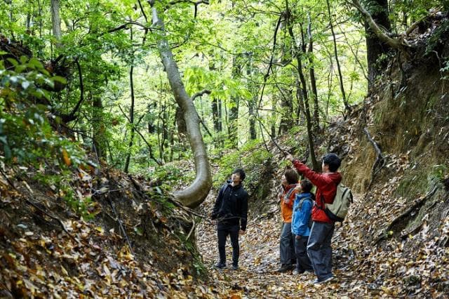 Honsaka Road Trail Route
