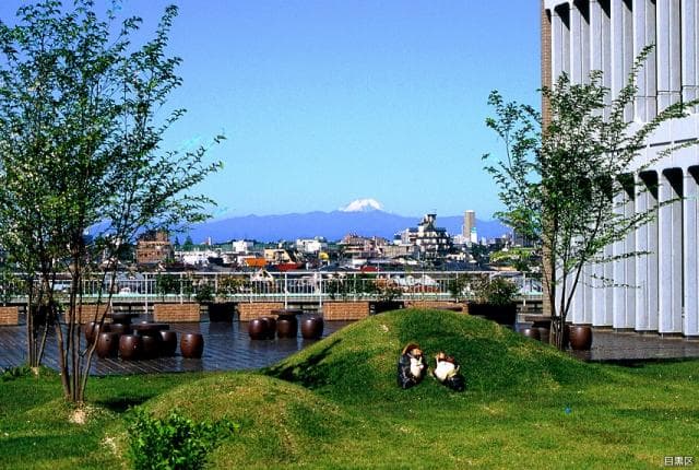Meguro Jugo Garden