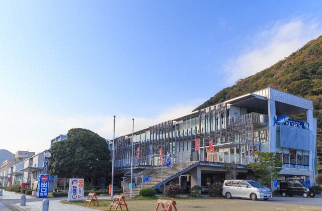 道の駅開国下田みなと