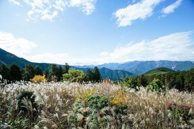 総門山2