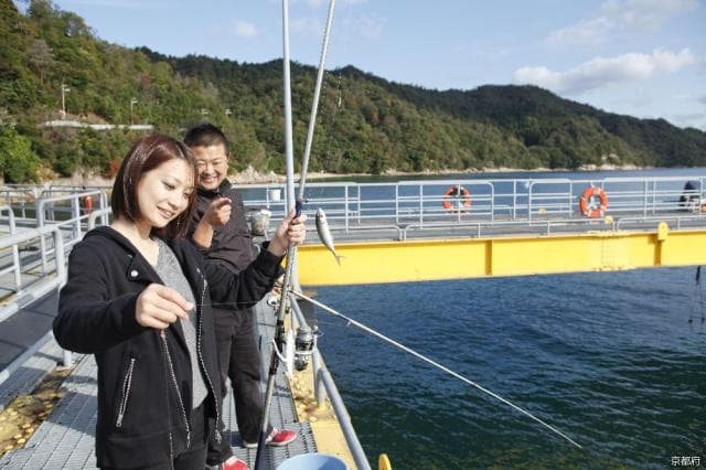 Fishing scenery