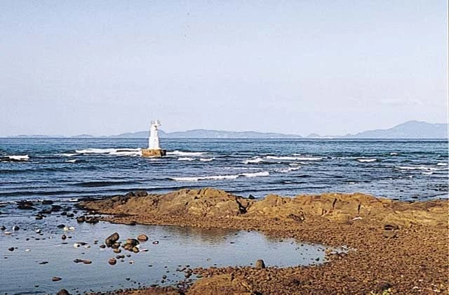 Nagasakihana