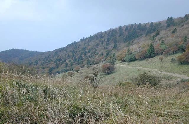 三峰山 八丁平