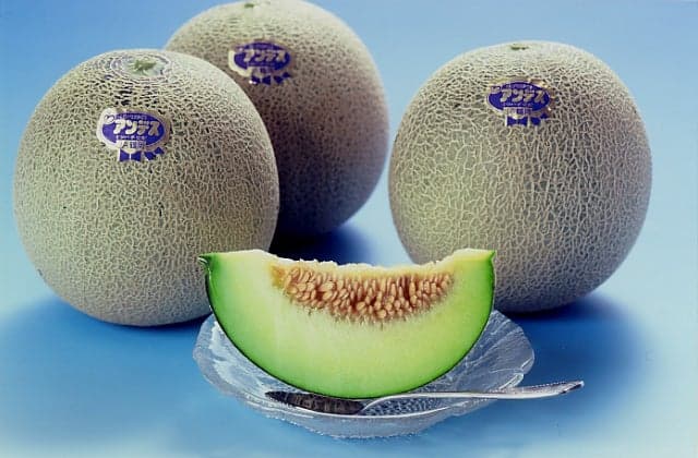 庄内砂丘メロン