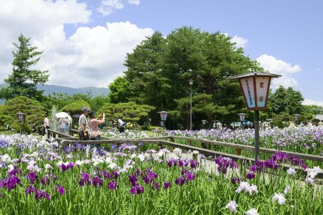 あやめ公園