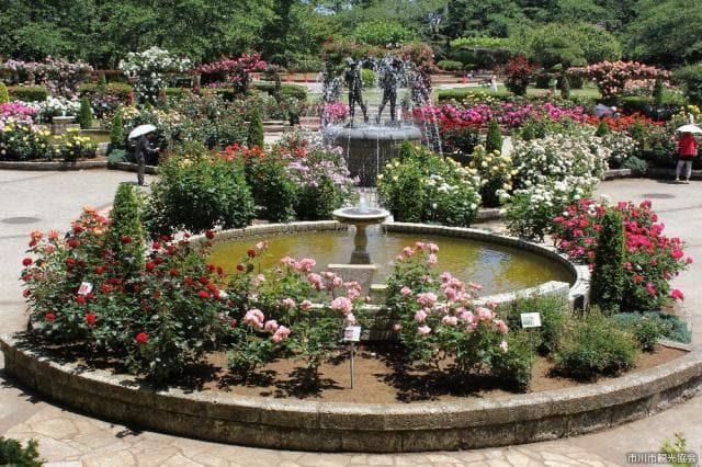 Satomi Park