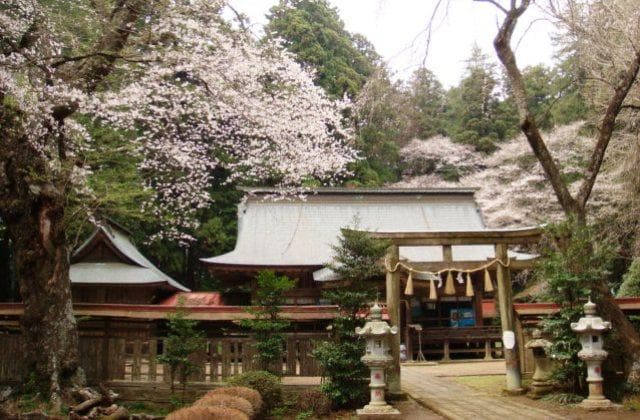 Baba-toko Wake-jinja Shrine