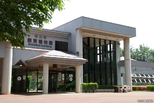 Ichikawa City Aquarium Botanical Garden