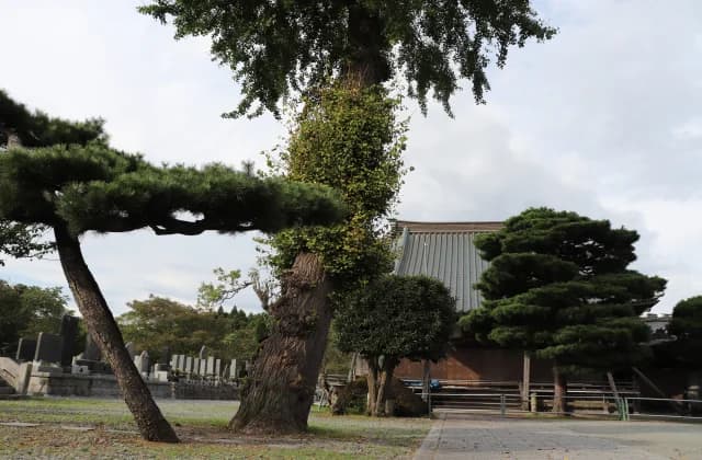 Jofuku-ji Temple