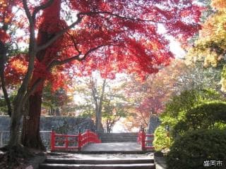 Morioka Castle Ruins Park Autumn