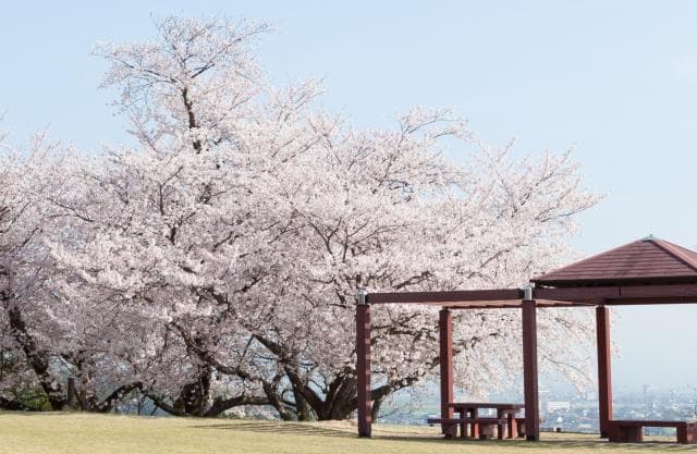 Hidamarinooka Park